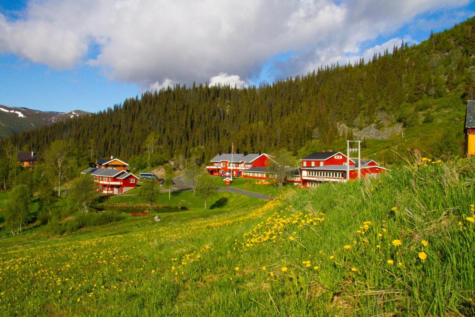 Gronolen Fjellgard Hotel Beitostolen Exterior photo